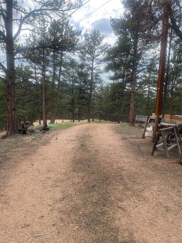 110 Wallace Drive, Florissant, CO 80816