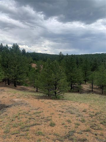 110 Wallace Drive, Florissant, CO 80816