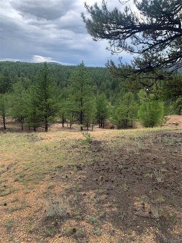 110 Wallace Drive, Florissant, CO 80816