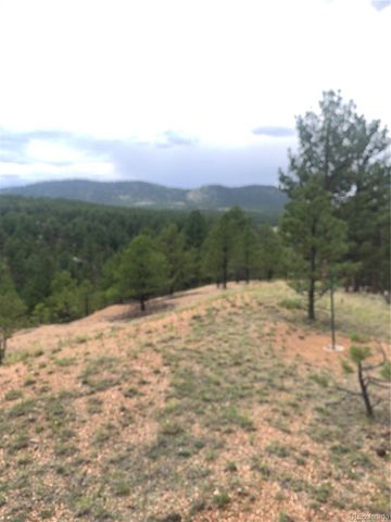 110 Wallace Drive, Florissant, CO 80816