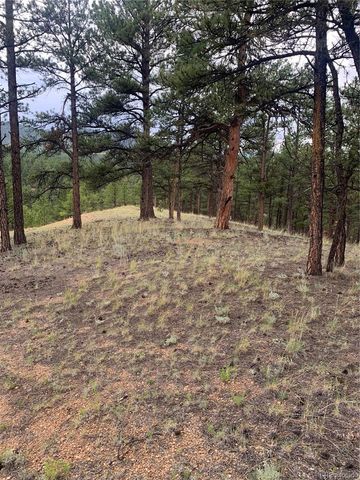 110 Wallace Drive, Florissant, CO 80816