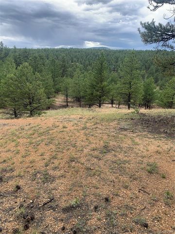 110 Wallace Drive, Florissant, CO 80816