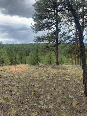 110 Wallace Drive, Florissant, CO 80816