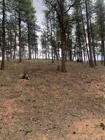 110 Wallace Drive, Florissant, CO 80816