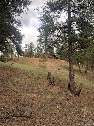110 Wallace Drive, Florissant, CO 80816