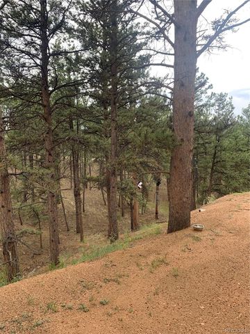 110 Wallace Drive, Florissant, CO 80816
