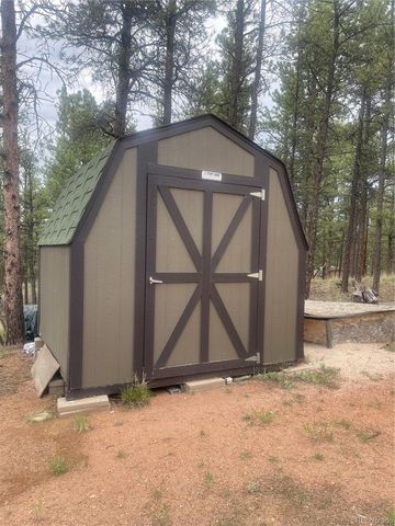 110 Wallace Drive, Florissant, CO 80816