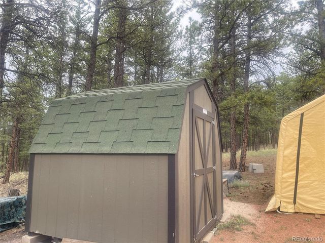 110 Wallace Drive, Florissant, CO 80816