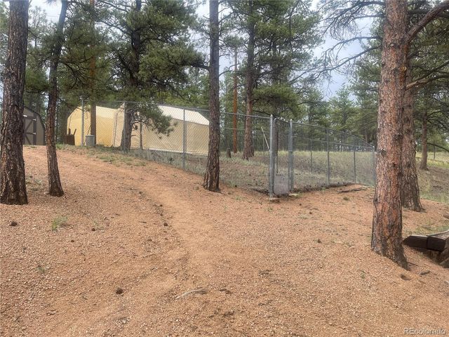 110 Wallace Drive, Florissant, CO 80816