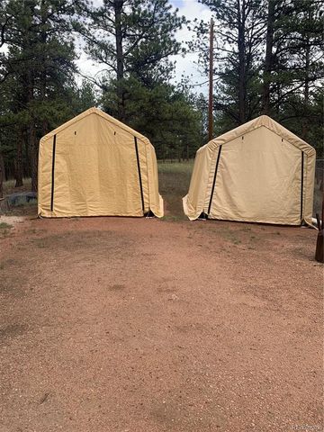 110 Wallace Drive, Florissant, CO 80816
