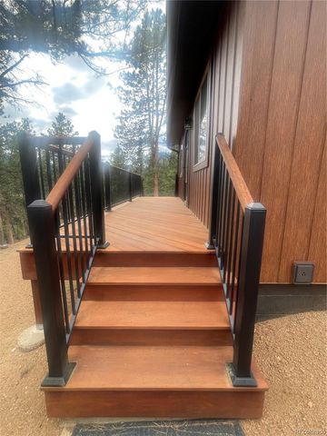 110 Wallace Drive, Florissant, CO 80816