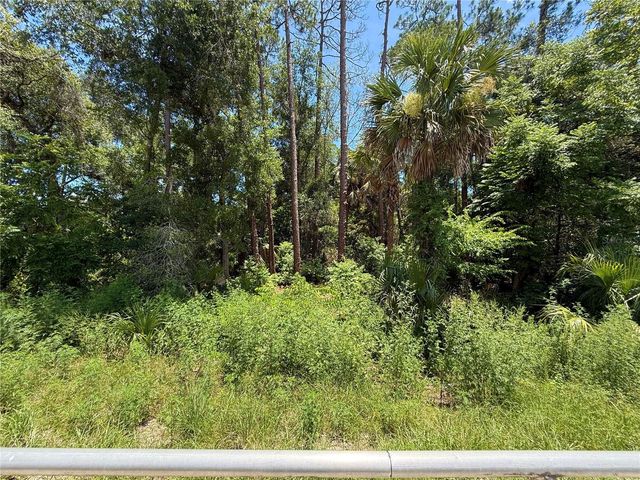 LOT 13 STATE ROAD 44, Eustis, FL 32726
