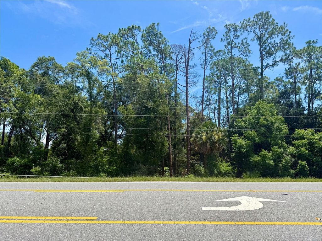 LOT 13 STATE ROAD 44, Eustis, FL 32726