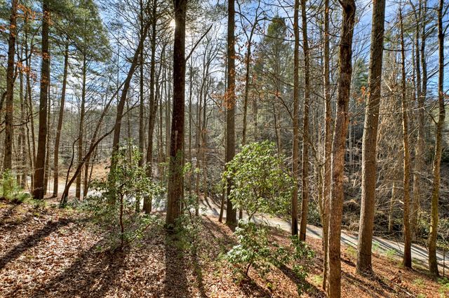 70 Riverside Lane, Blue Ridge, GA 30513