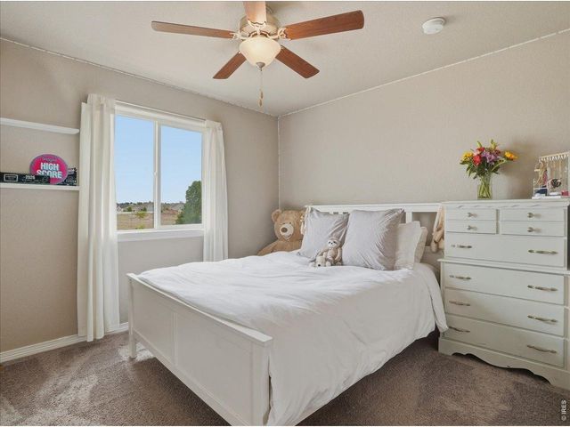 1766 Ruddlesway Dr, Windsor, CO 80550