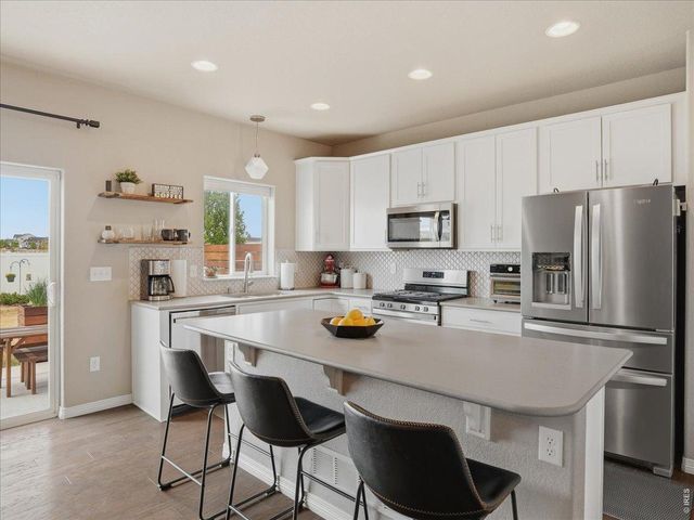 1766 Ruddlesway Dr, Windsor, CO 80550
