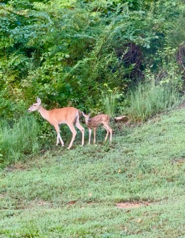 835 Edgewater Way, Jasper, TN 37347