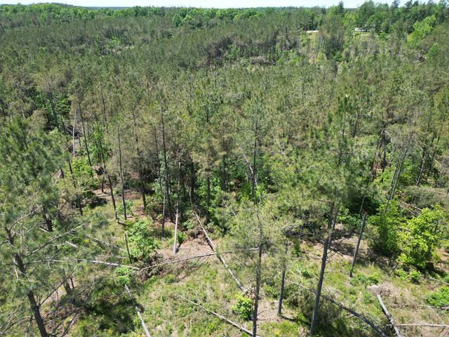 140 Pinewood Dr, Hohenwald, TN 38462