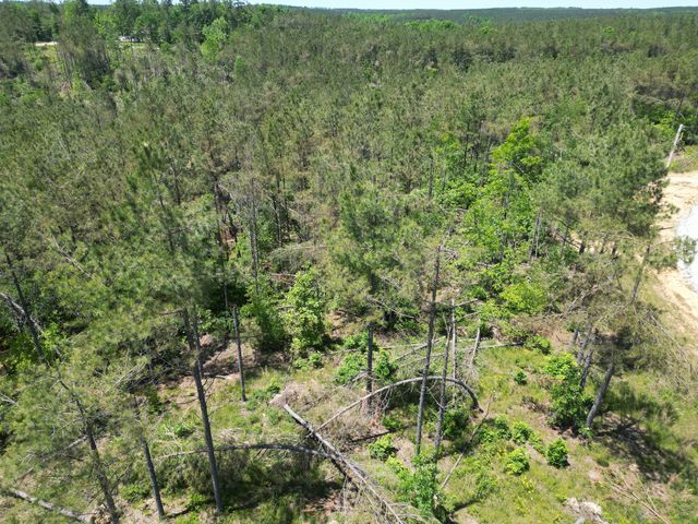 140 Pinewood Dr, Hohenwald, TN 38462