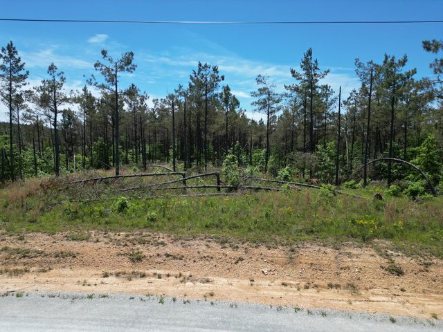 140 Pinewood Dr, Hohenwald, TN 38462