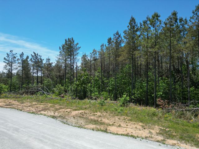 140 Pinewood Dr, Hohenwald, TN 38462