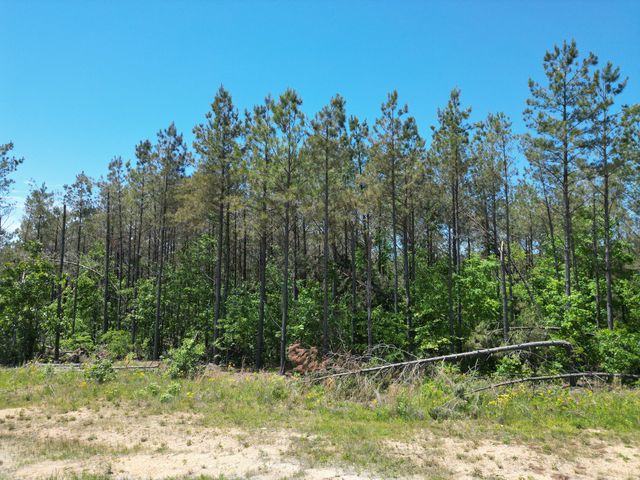 140 Pinewood Dr, Hohenwald, TN 38462