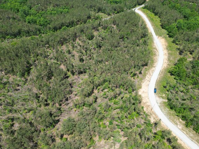 140 Pinewood Dr, Hohenwald, TN 38462