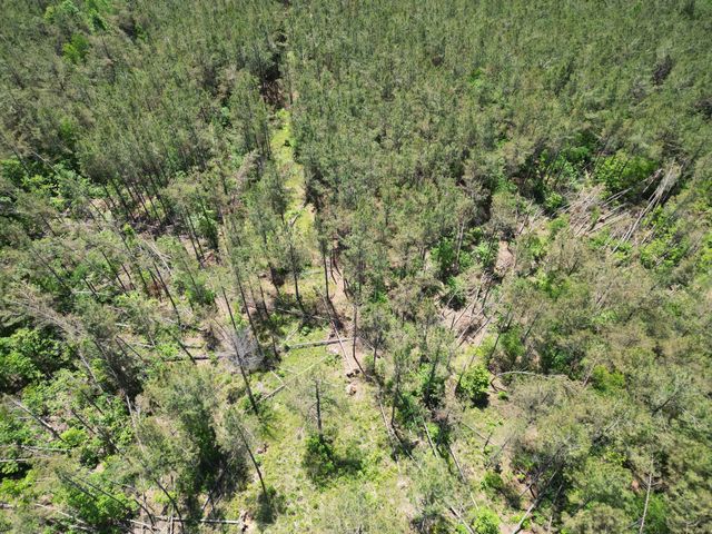 140 Pinewood Dr, Hohenwald, TN 38462