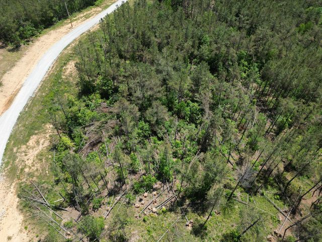 140 Pinewood Dr, Hohenwald, TN 38462
