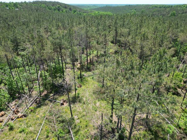 140 Pinewood Dr, Hohenwald, TN 38462