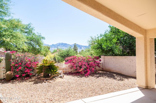11146 N Desert Flower Drive, Tucson, AZ 85737