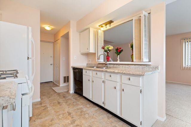 236 N WATERFORD Drive, Schaumburg, IL 60194