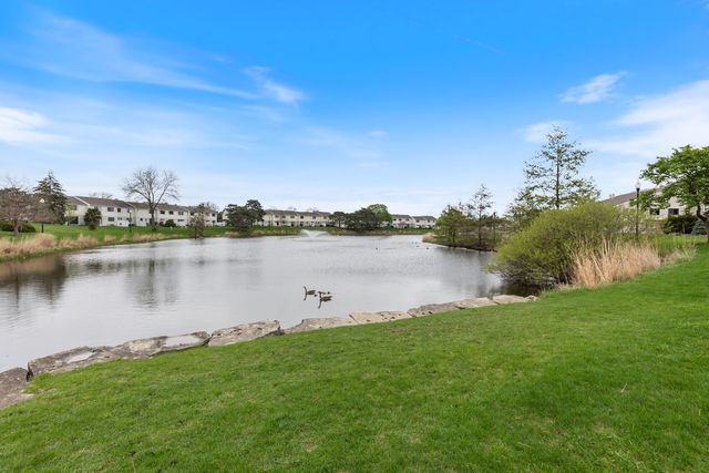 236 N WATERFORD Drive, Schaumburg, IL 60194