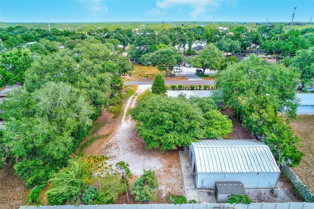 175 RIVIERE ROAD, Palm Harbor, FL 34683