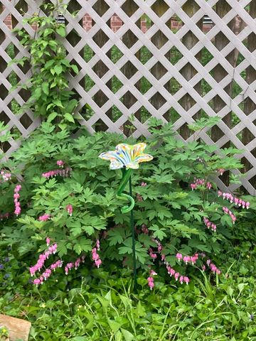 4129 E Linwood Street, Springfield, MO 65809