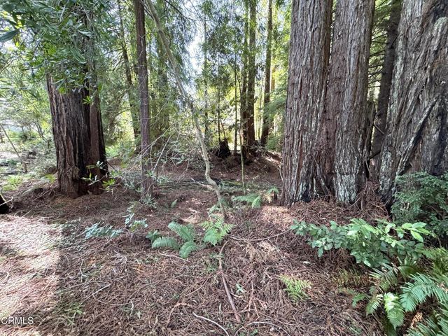 43300 Little River Airport Road 35, Little River, CA 95456