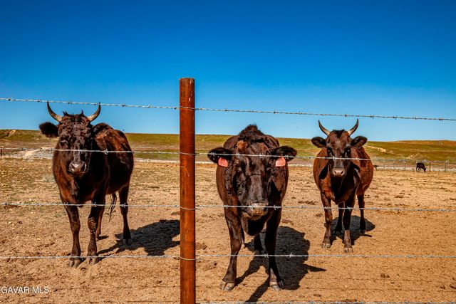 45408 W 160th Street, Lancaster, CA 93536