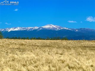 90 Meadow Lane, Guffey, CO 80820