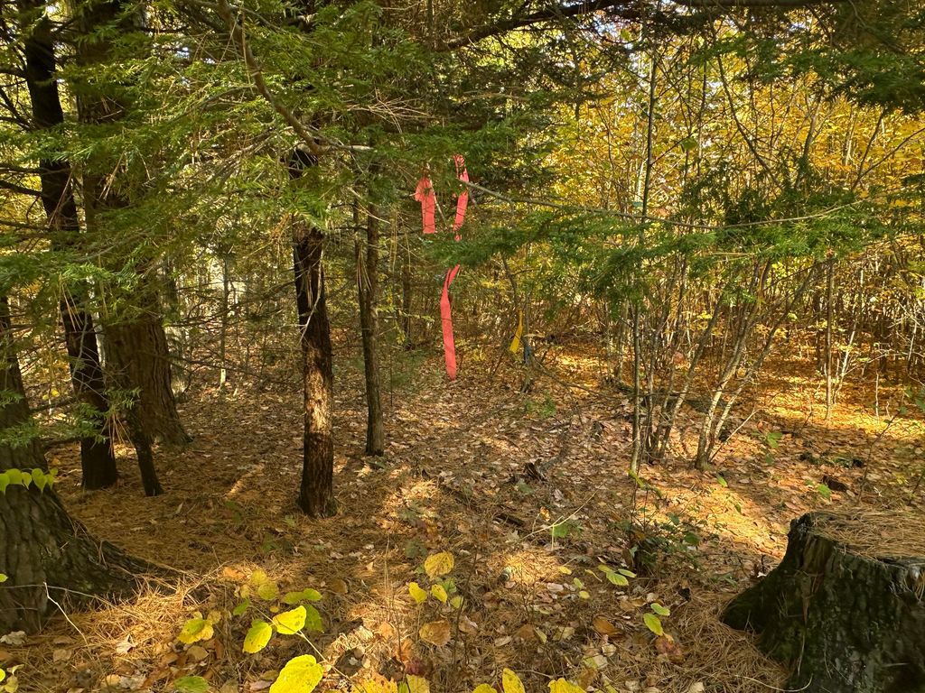 4acres Deering Ridge Road, Waterboro, ME 04087 — exterior