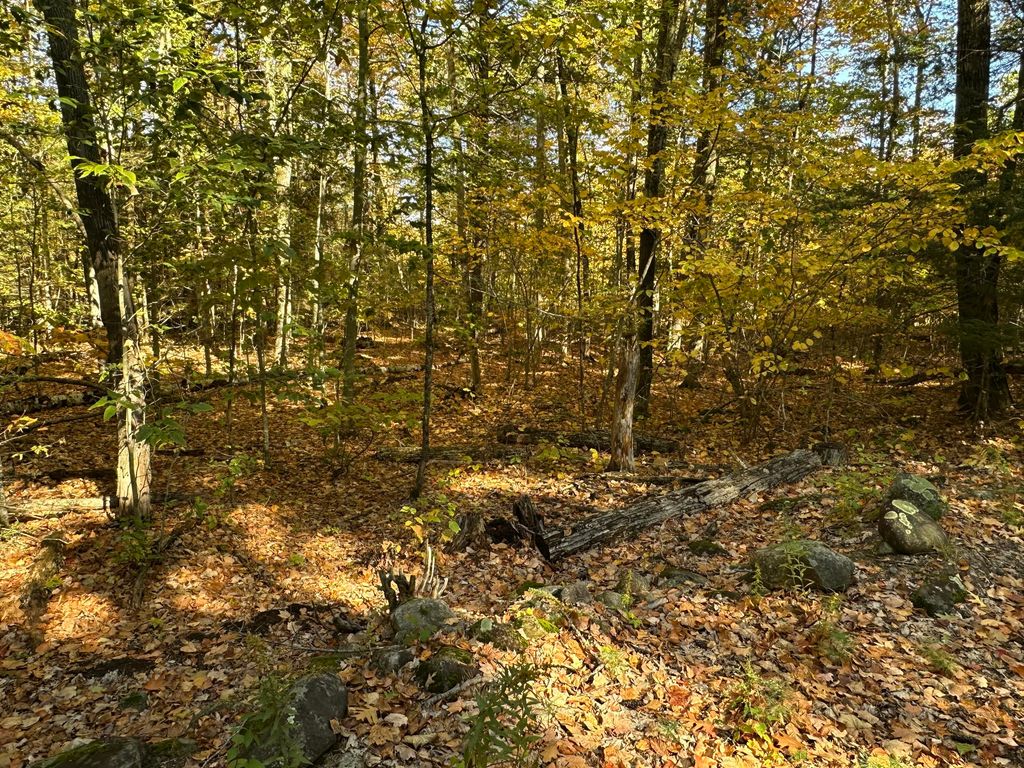 4acres Deering Ridge Road, Waterboro, ME 04087 — photo 2