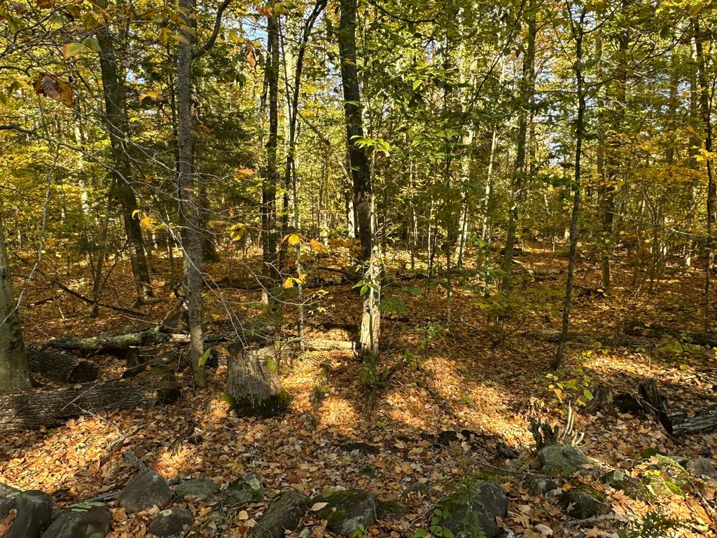 4acres Deering Ridge Road, Waterboro, ME 04087 — photo 3