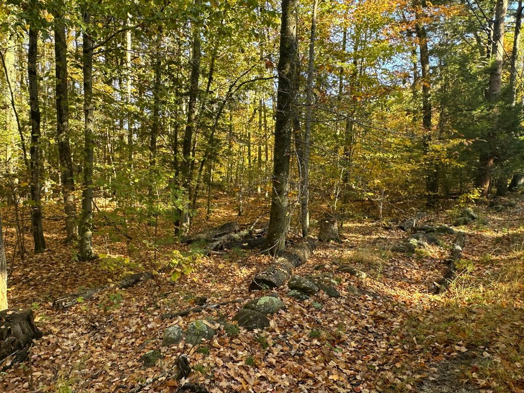 4acres Deering Ridge Road, Waterboro, ME 04087 — photo 4