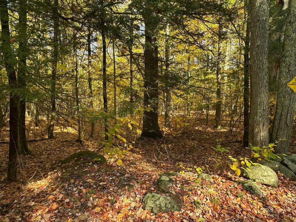 4acres Deering Ridge Road, Waterboro, ME 04087 — photo 5