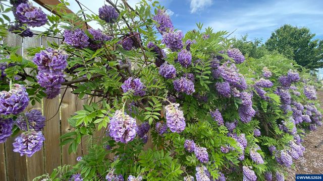 435 SE Belgian St, Sublimity, OR 97385