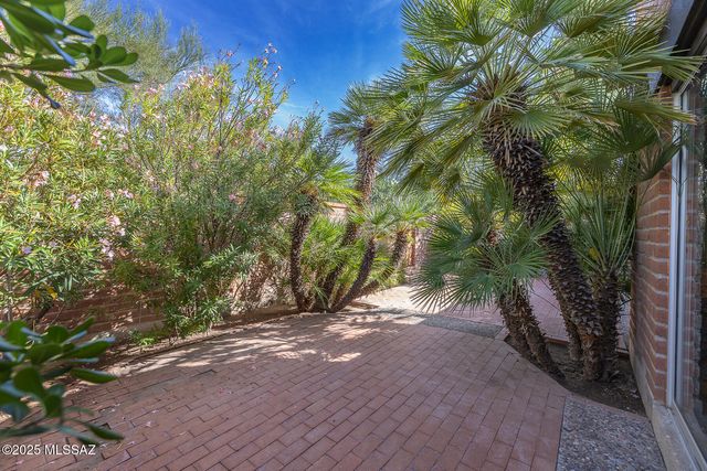 2561 E Cerrada Adelita, Tucson, AZ 85718