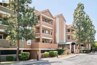 401 S Norfolk St 301, San Mateo, CA 94401