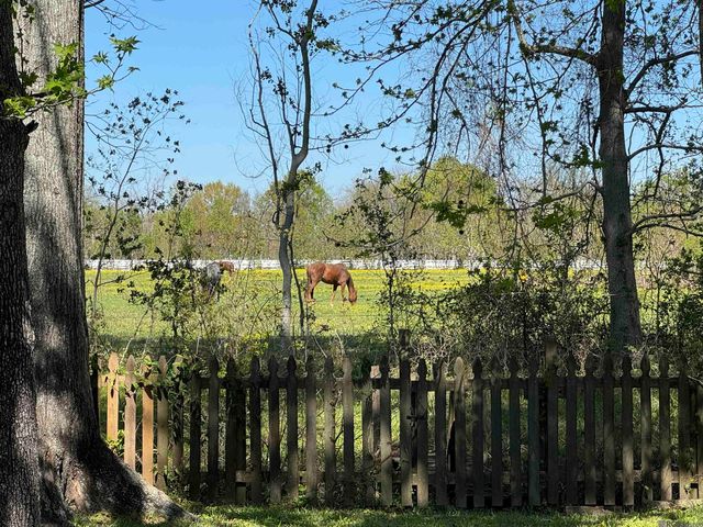 3660 Westervelt Ave, Baton Rouge, LA 70820