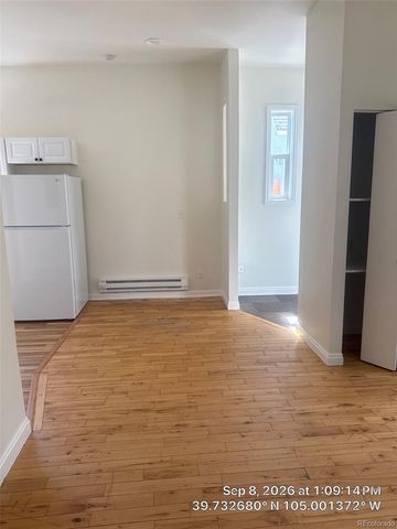 1024 Lipan Street, Denver, CO 80204