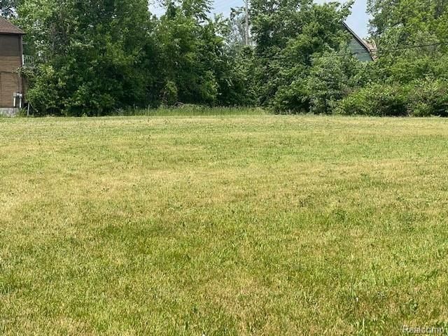 2218 VAN DYKE, Detroit, MI 48214