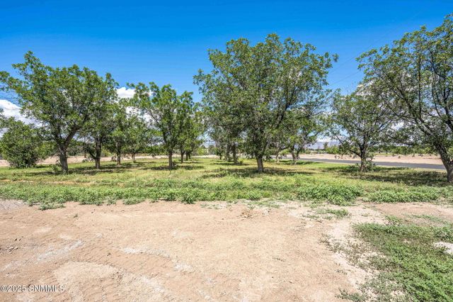 1032 Carver Road, Las Cruces, NM 88005
